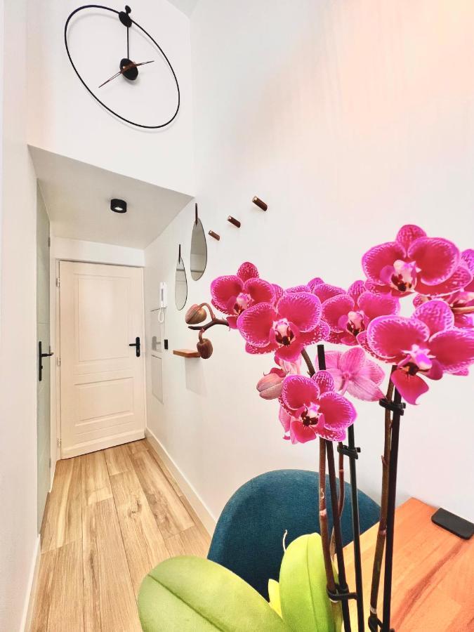 Duplex Le Gesu - Heart Of Old Town - Modern - Wifi - Clim Appartement Nice Buitenkant foto